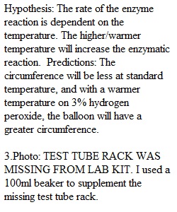 Week 5 Lab